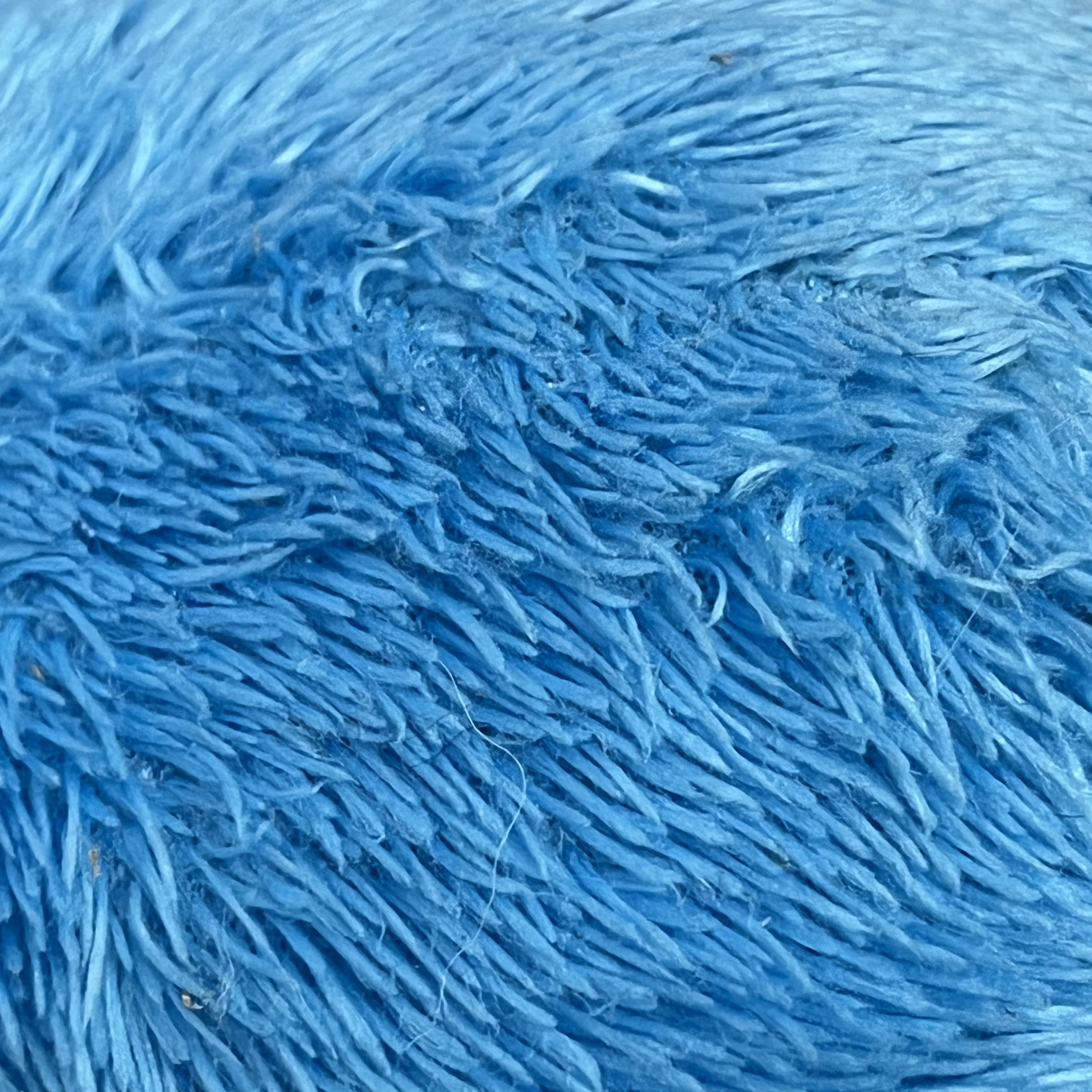 I'm ending this workshop on a happy note, looking at a very soft and inviting texture which is a plushy/stuffed animal. I really like the long pile of this textile because you can rub your fingers through it to change the direction, and draw shapes into it with your finger. In this photo it makes me think of an impressionistic style body of water painting. It also gives me fond childhood memories because I had so many stuffed animals I essentially had my own petting zoo, it was absurd, and a few of them had this style of 'fur'.