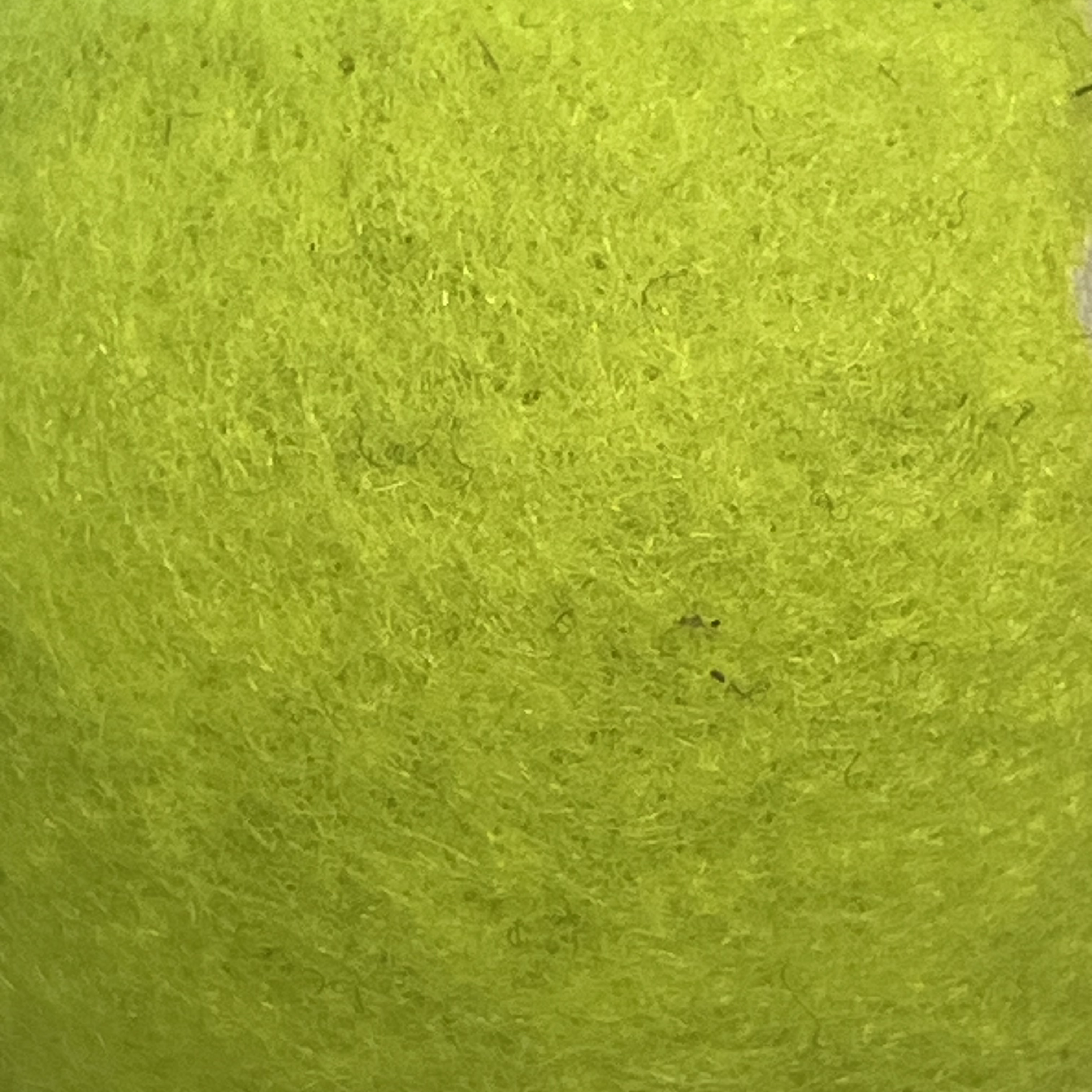 During this workshop where we closely examined textures of materials Jen brought in, I really liked the super fine hair like texture on the tennis ball. From afar it just looks kind of fuzzy, but up close you can see all these micro threads making up the outer skin on the ball. It almost looks like grass after cutting the lawn.